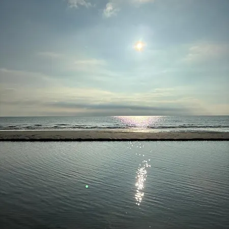 Taet Pa Sandstrand Og Skov *