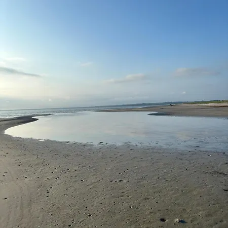 Taet Pa Sandstrand Og Skov Hojby